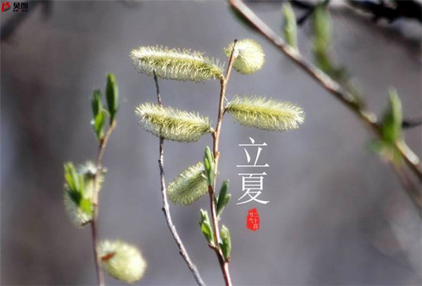 二十四節氣立夏，那些您不知道的習俗